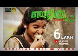 നെല്ലിക്കാ മലയാളം ആൽബം