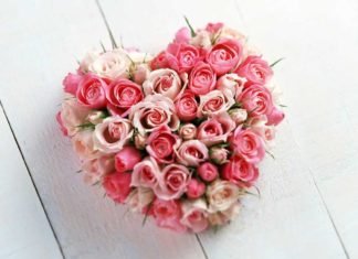 തൊടുപുഴയിൽ മർദ്ദനത്തിനിരയായ ഏഴ് വയസുകാരൻ മരിച്ചു