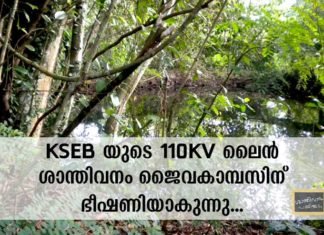 “ശാന്തിവനം സംരക്ഷണവലയം” മെയ് 14 മുതൽ; ഐക്യദാർഢ്യപ്പെടുന്ന മുഴുവൻ ആളുകൾക്കുമുള്ള സമരസമിതിയുടെ ക്ഷണം