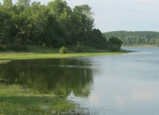 ശാസ്താംകോട്ട തടാകവും,വൃഷ്ടിപ്രദേശവും കളക്ടർ സംരക്ഷിത മേഖലയായി പ്രഖ്യാപിച്ചു