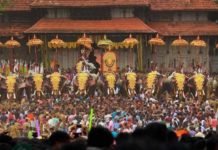 തൃശ്ശൂർ പൂരം കാണാനെത്തുന്നവർ സുരക്ഷയുടെ ഭാഗമായി ബാഗ് ഒഴിവാക്കാൻ നിർദ്ദേശം