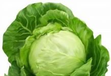 കുഞ്ഞുങ്ങളുടെ ലഞ്ച്ബോക്സ് ഇനി പോഷകസമൃദ്ധം: ഉഗ്രൻ റെസിപ്പി