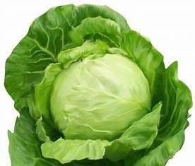 കുഞ്ഞുങ്ങളുടെ ലഞ്ച്ബോക്സ് ഇനി പോഷകസമൃദ്ധം: ഉഗ്രൻ റെസിപ്പി