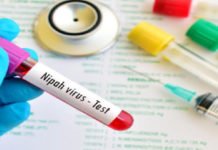 കോഴിക്കോട് 2 പനി മരണം; നിപയെന്ന് സംശയം; ജില്ലയിൽ ജാഗ്രതാ നിർദേശം