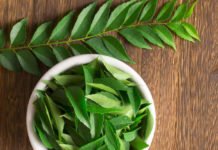 കളിയല്ല, കറിവേപ്പില