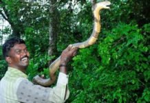ആശുപത്രി വാസം കഴിഞ്ഞ് പുറത്തിറങ്ങുമ്പോഴെങ്കിലും വാവ സുരേഷ് തൻ്റെ മണ്ടത്തരങ്ങൾ തിരിച്ചറിയണം