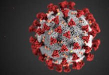 രോഗബാധിതരുടെ എണ്ണം 5,48,318 ആയി