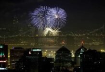 2020 വിട, പുതുവർഷത്തെ ആദ്യം വരവേറ്റ് ന്യൂസിലാൻഡ്