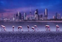 ഡിസംബർ 21ന് താപനിലയിൽ ഗണ്യമായ കുറവുണ്ടാകും