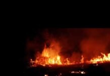 കോഴിക്കോട് ചെറുവണ്ണൂരിൽ വൻ തീപിടിത്തം