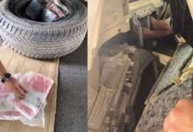 അനധികൃതമായി കടത്താൻ ശ്രമിച്ച 23 കിലോ ഹാഷിഷ് പിടികൂടി