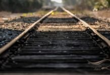 ഗൾഫിൽ പദ്ധതിക്കായി ജൂൺ 1 മുതൽ 6 മാസത്തിനകം കൺസൾട്ടൻ്റിനെ തെരഞ്ഞെടുക്കണം