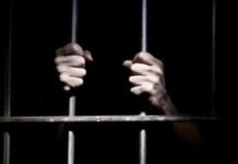 വ്യാജ ബിരുദ രേഖ ചമച്ച് ജോലി തട്ടിപ്പ്; രാജകുടുംബാംഗത്തിന് തടവ് ശിക്ഷ