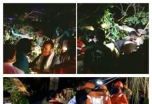 പൂരത്തിനിടെ ആൽമരം ഒടിഞ്ഞ് വീണ് രണ്ട് മരണം, പരിക്കേറ്റവരിൽ രണ്ടുപേരുടെ നില ഗുരുതരം