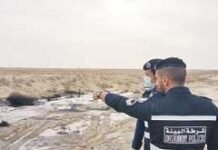 297 പരിസ്ഥിതി നിയമലംഘന കേസുകൾ പബ്ലിക് പ്രോസിക്യൂഷന് റഫർ ചെയ്തു