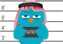 സമൂഹമാധ്യമത്തില് അമീറിനെ അപമാനിച്ചു, പ്രതിക്ക് 3 വർഷം തടവ്