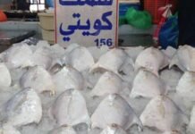 കുവൈത്തിൽ വിപണികളിലെ മത്സ്യ ലേലം പുനരാരംഭിക്കണമെന്ന ആവശ്യം ശക്തമാകുന്നു