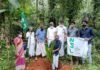 എന്റെ വീട്ടിൽ ഒരു മരം എൻ എസ് എൽ പരിസ്ഥിതി വാരാചരണം തുടങ്ങി