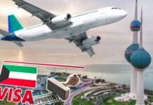 കൊറോണ എമർജൻസി കമ്മിറ്റി സ്വകാര്യ മെഡിക്കൽ സ്ഥാപനങ്ങളിലെ ജീവനക്കാർക്കുള്ള എൻട്രി വിസ അംഗീകരിച്ചു