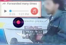 ഇരട്ടക്കൊലപ്പാതക കേസുമായി ബന്ധപ്പെട്ട് സമൂഹ മാധ്യമങ്ങളില് പ്രചരിക്കുന്ന ഓഡിയോ ക്ലിപ്പ് വ്യാജം