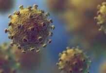 ഇന്ത്യയിൽ ഗ്രീന് ഫംഗസ് രോഗം റിപ്പോർട്ട് ചെയ്തു.