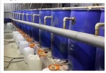 ഫഹഹീലിൽ അനധികൃത മദ്യ നിർമ്മാണം ; ഏഷ്യക്കാരായ മൂന്നുപേർ അറസ്റ്റിൽ