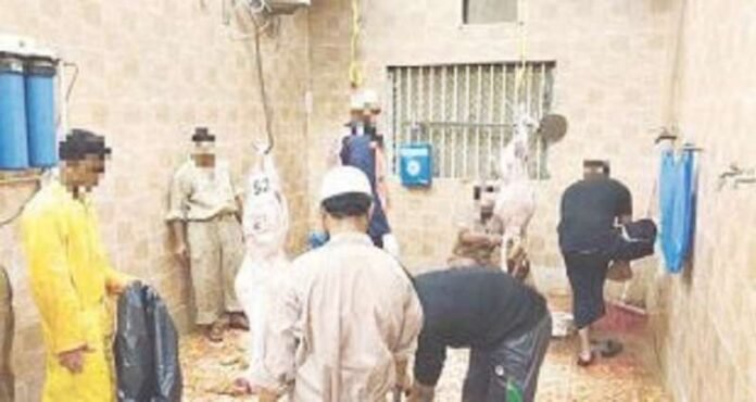 mobile-butchers-face-arrest-kd-700-fine-warns-interior_0_21-07-20-12-07-46