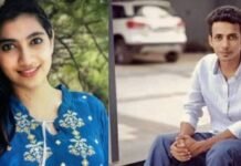 മാനസയെ കൊല്ലാൻ രഖിലിന് പിസ്റ്റൾ നൽകിയ ആൾ പിടിയിൽ