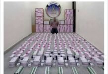 നിരോധിത മരുന്ന് വില്പന; കുവൈത്തിൽ ഫാർമസിസ്റ്റ് പിടിയിൽ