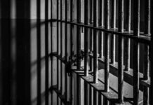 കുവൈത്ത് അമീറിനെ സമൂഹമാധ്യമത്തിൽ അപമാനിച്ച ബ്ലോഗർക്ക് മൂന്ന് വർഷം തടവ്