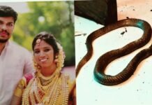 ഉത്ര കൊലക്കേസിൽ ശിക്ഷാവിധി അൽപ്പസമയത്തിനകം