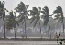 മിഷോങ് ചുഴലിക്കാറ്റ്: സംസ്ഥാനത്ത് ഇന്ന് ശക്തമായ മഴ; 4 ജില്ലകളിൽ യെലോ അലർട്ട്