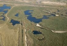 ചൊവ്വാഴ്ച മുതൽ ജഹ്റ റിസർവ് സന്ദർശകർക്കായി തുറക്കും