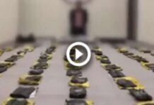 കുവൈത്തിൽ വീണ്ടും വൻ ലഹരിമരുന്ന് വേട്ട