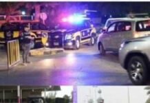 അവധി ദിവസങ്ങളിൽ കുവൈത്തിൽ 10,769 ട്രാഫിക് നിയമലംഘനങ്ങൾ റിപ്പോർട്ട് ചെയ്തു, 108 വാഹനങ്ങളും പിടിച്ചെടുത്തു