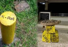 കെ റയിൽ സർവ്വേ നിർത്തിവച്ചു