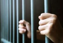 ഭാര്യയുടെ കഴുത്തറുക്കുകയും ഭാര്യാപിതാവിനെ തീ കൊളുത്തുകയും ചെയ്ത ഈജിപ്ത് സ്വദേശി പിടിയിൽ