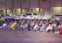 സുരക്ഷാ പരിശോധനയിൽ 328 പേർ അറസ്റ്റിലായി