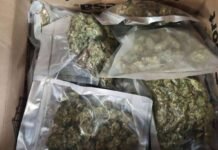 മരിജുവാന അടങ്ങിയ പാഴ്സൽ കൈപ്പറ്റി, കുവൈത്തിൽ സ്ത്രീ പിടിയിൽ