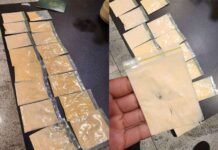 ഹെറോയിനുമായി പ്രവാസി കുവൈത്ത് വിമാനത്താവളത്തിൽ പിടിയിൽ