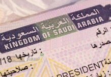 ജിസിസിയിലെ താമസക്കാർക്ക് ഓൺലൈനായി സൗദിയിൽ ഇവിസകൾക്ക് അപേക്ഷിക്കാം