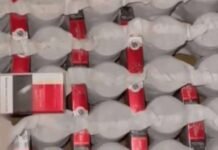 നുവൈസീബ് കസ്റ്റംസ് ഇൻസ്പെക്ടർമാർ സിഗരറ്റ് കാർട്ടണുകൾ പിടിച്ചെടുത്തു