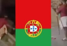 പോപ്പുലര് ഫ്രണ്ട് കൊടിയെന്ന് കരുതി വലിച്ചു കീറിയത് പോര്ച്ചുഗല് പതാക; ബി.ജെ.പി പ്രവര്ത്തകന് പൊലീസ് കസ്റ്റഡിയില്