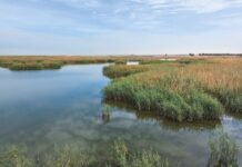 ജഹ്റ നേച്ചർ റിസർവ് പൊതുജനങ്ങൾക്കായി തുറന്നുകൊടുത്തു