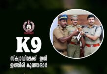 ‘ജാക്ക് റസ്സൽ ടെറിയർ’ കേരള പോലീസിന്റെ ഡോഗ് സ്ക്വാഡിലെ ഇത്തിരിക്കുഞ്ഞന്മാർ; യെവൻ പുലിയാണ് കേട്ടാ !!