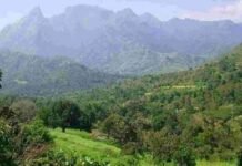 ബഫർ സോൺ: കെസിബിസി പ്രത്യക്ഷ സമരത്തിന്