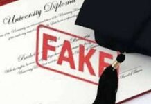 സർക്കാർ മേഖലയിലെ പ്രവാസികളുടെ ബിരുദ സർട്ടിഫിക്കറ്റുകൾ പരിശോധിക്കും, എഞ്ചിനീയർ തസ്തികയിൽ ഉള്ളവർക്ക് പരീക്ഷ നടത്തും.