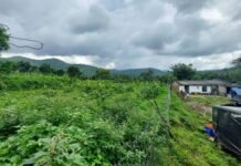 ബഫര്സോണ്: ഇടുക്കിയില് ഫീല്ഡ് സര്വേ പൂര്ത്തിയായി