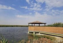 ജഹ്റ റിസർവിലേക്ക് ഇനി സന്ദർശകർക്ക് പ്രവേശനം ഇല്ല