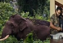 അരിക്കൊമ്പനെ മയക്കുവെടി വെക്കാനുളള ദൗത്യം നീളുന്നു